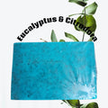 Eucalyptus Citriodora soap